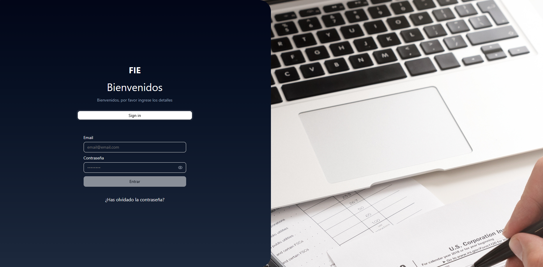 FIE · Gestión de Gastos Educativos con IA - vista 3